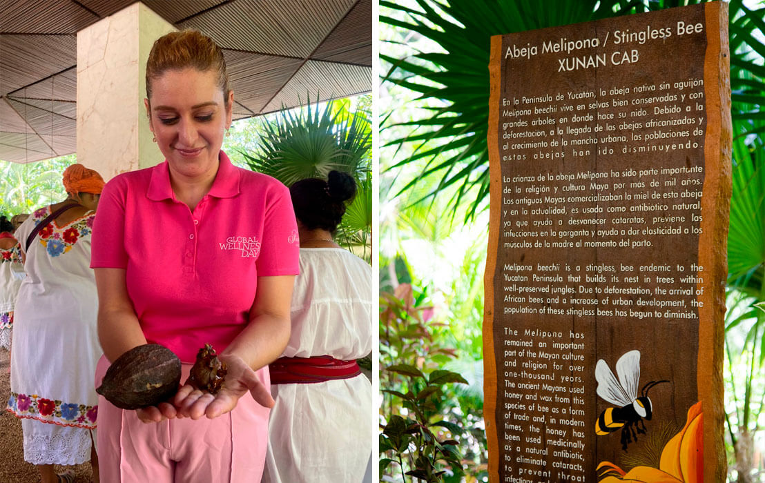 Fairmont Mayakoba presenta sus acciones de sostenibilidad