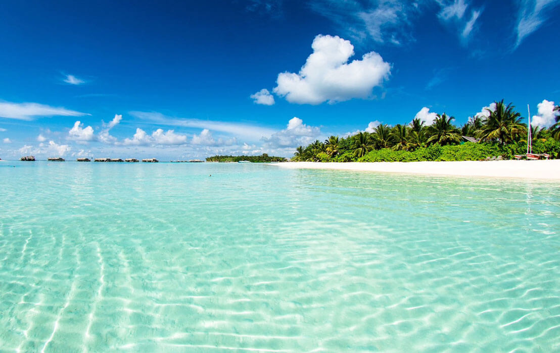 Cinco razones para enamorarte de Barbados