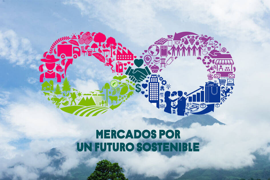 Impulsa Rainforest Alliance la producción y consumo sustentables 