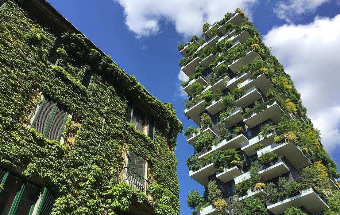Jardines verticales, ingeniosa fusión de naturaleza y arquitectura